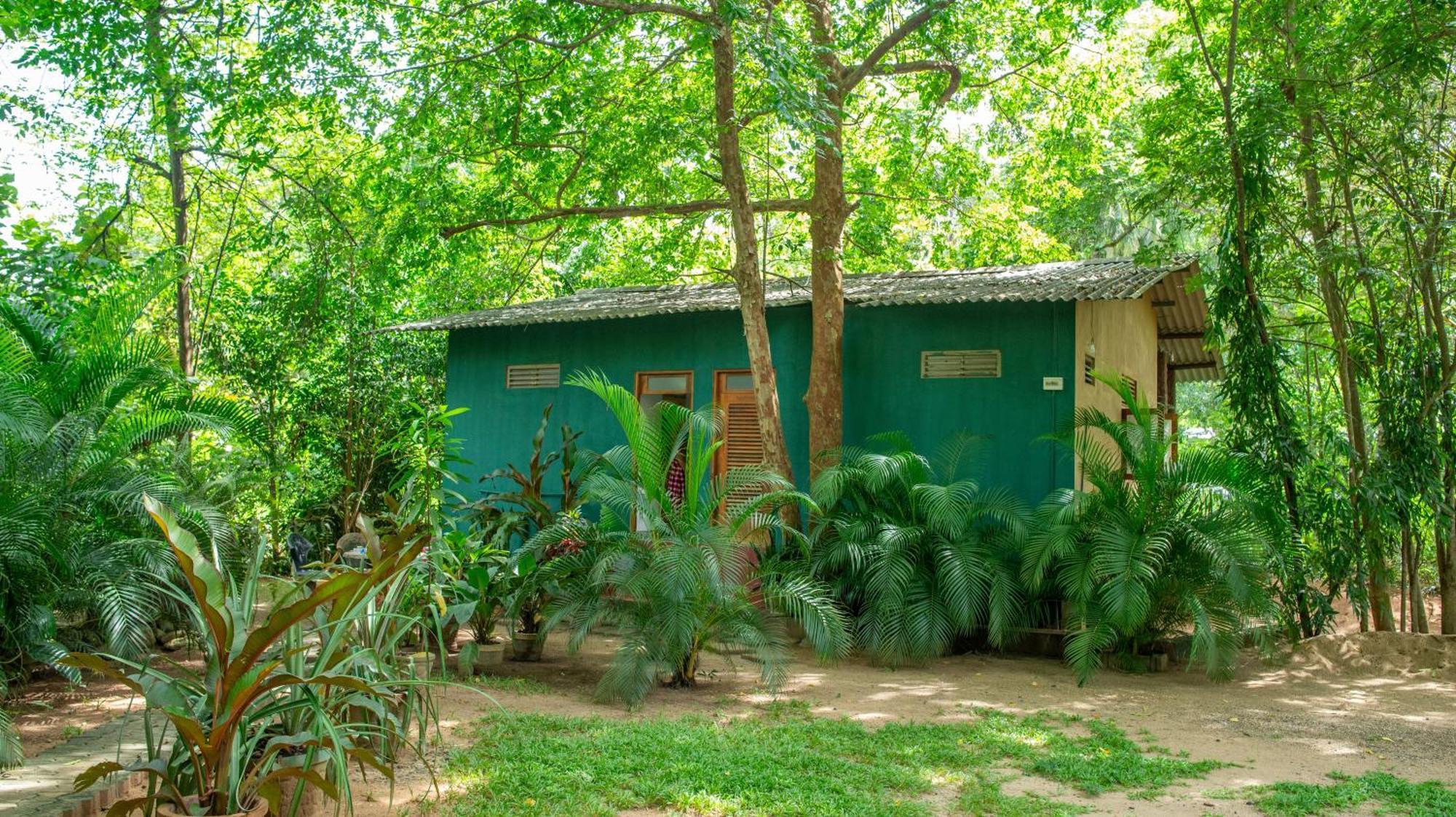 Silent Bungalow Udawalawe Buitenkant foto