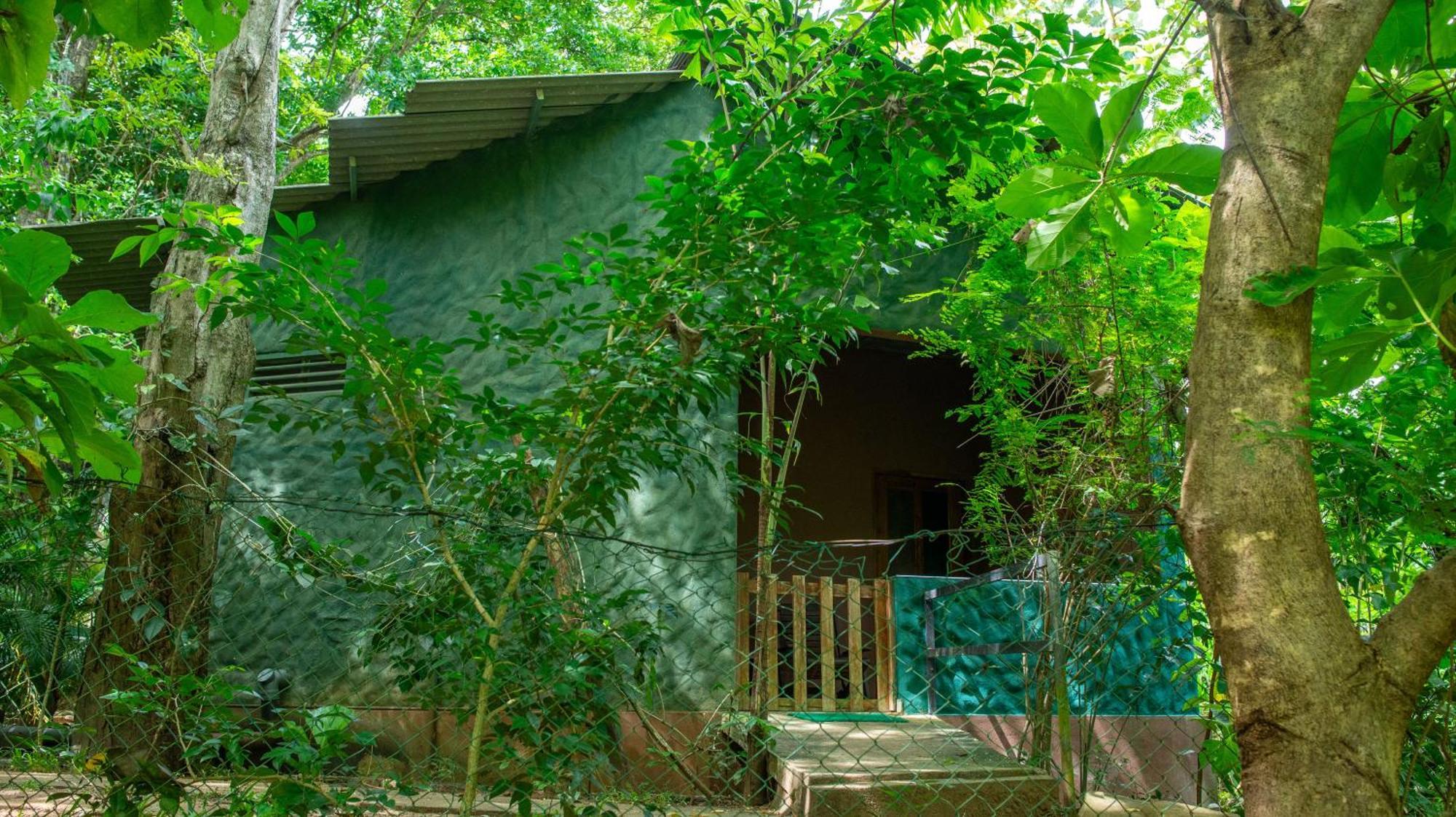 Silent Bungalow Udawalawe Buitenkant foto
