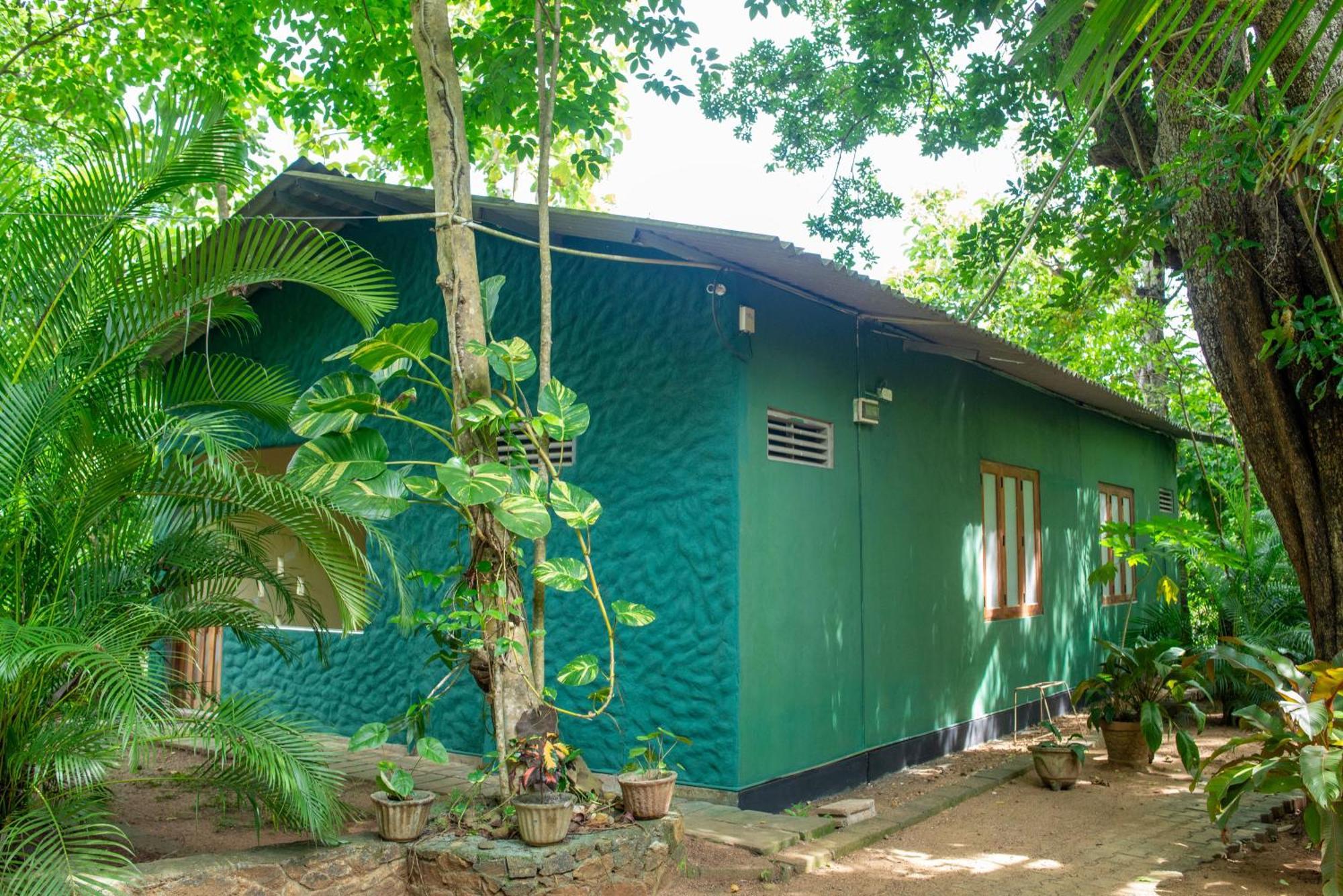 Silent Bungalow Udawalawe Buitenkant foto