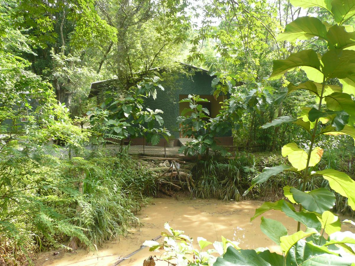 Silent Bungalow Udawalawe Buitenkant foto