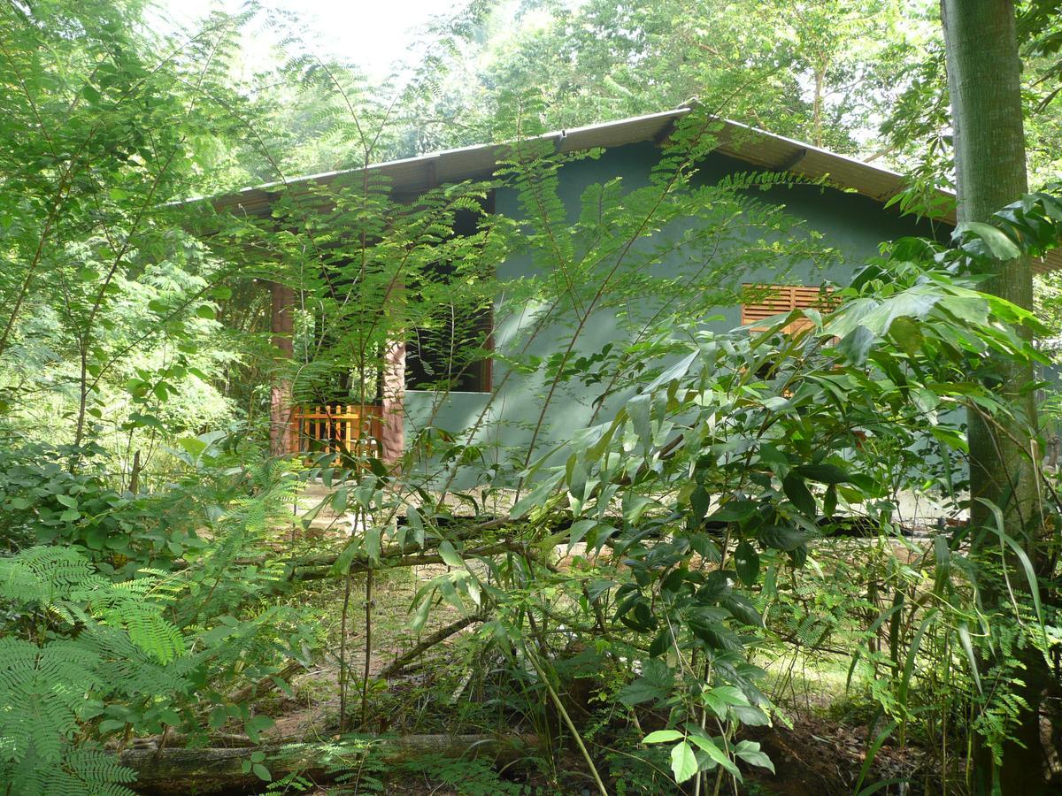 Silent Bungalow Udawalawe Buitenkant foto