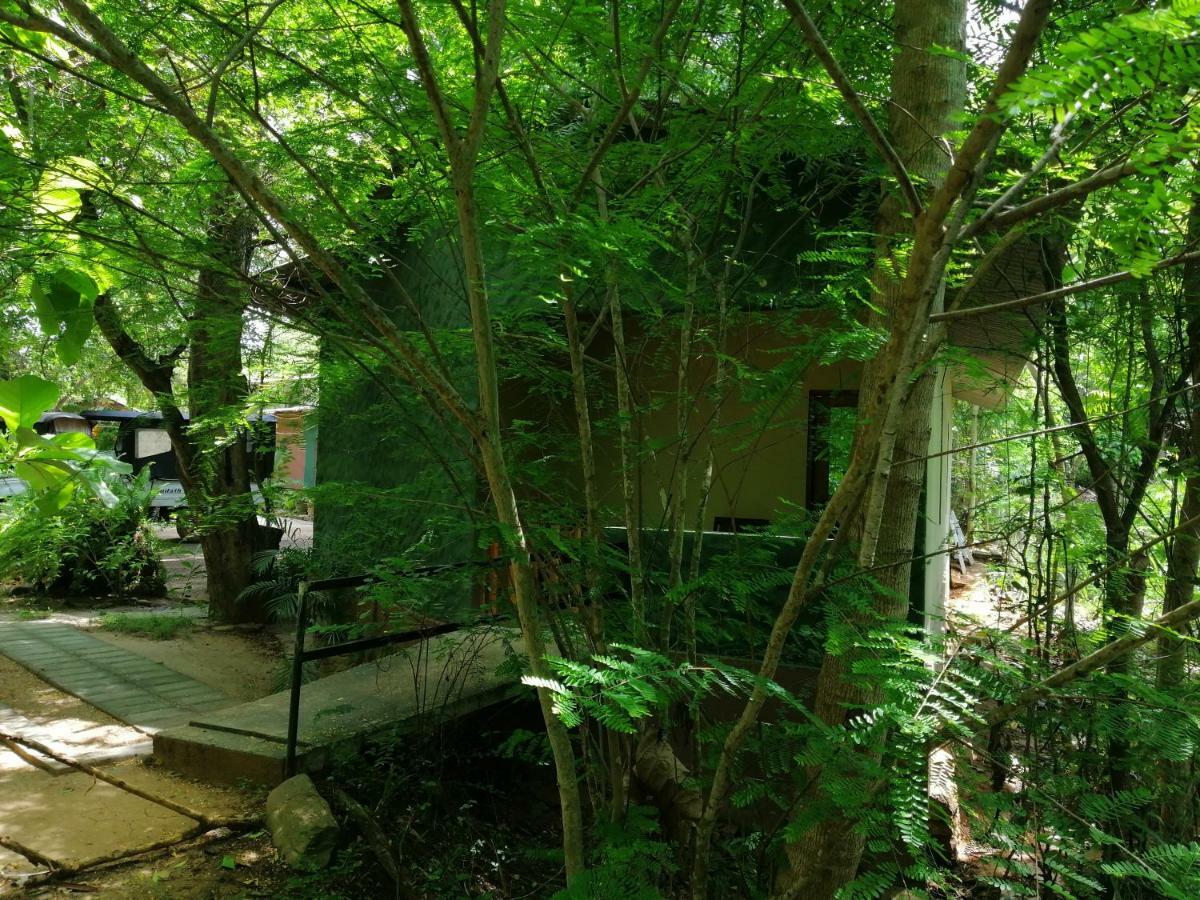 Silent Bungalow Udawalawe Buitenkant foto