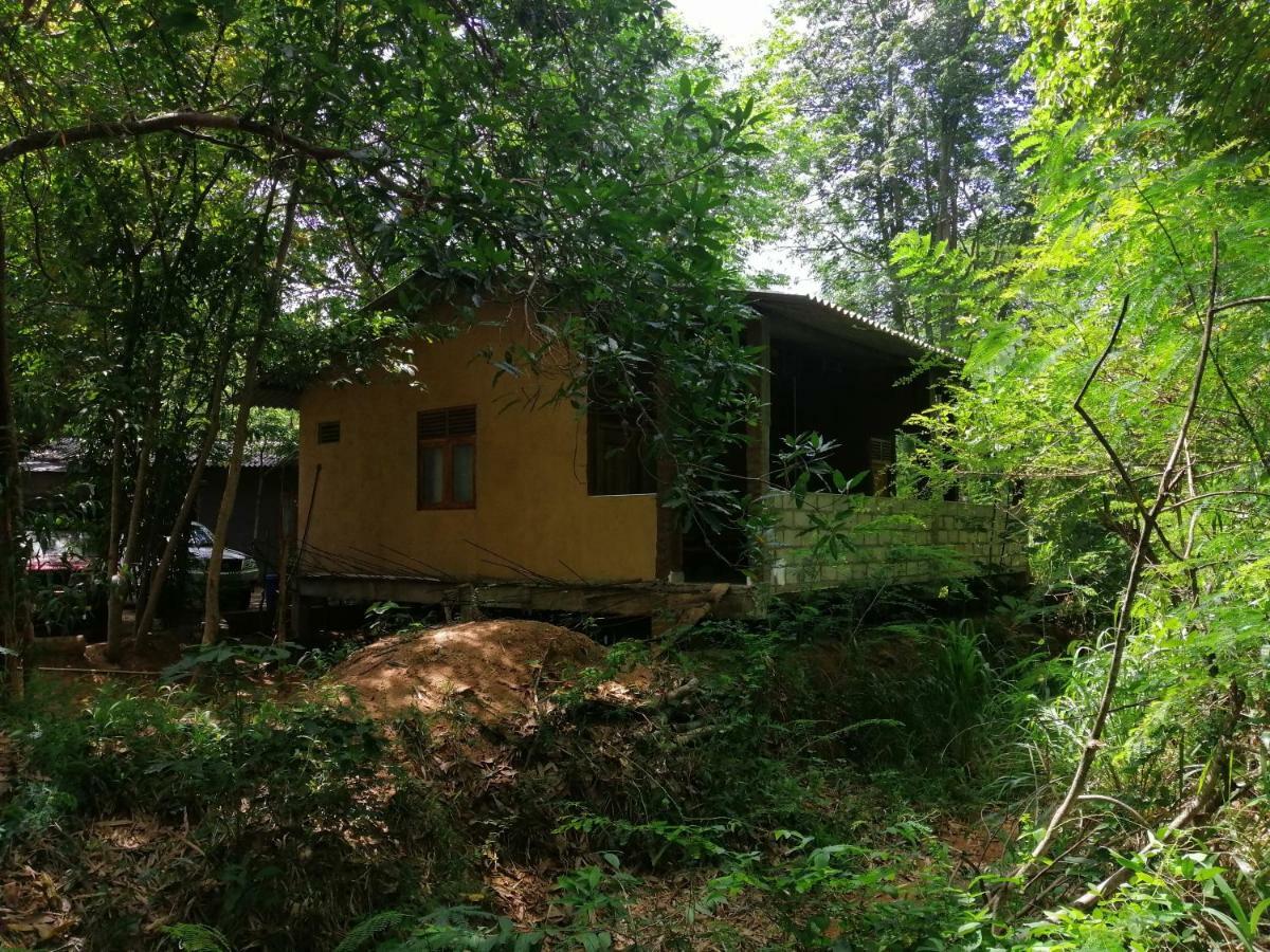 Silent Bungalow Udawalawe Buitenkant foto
